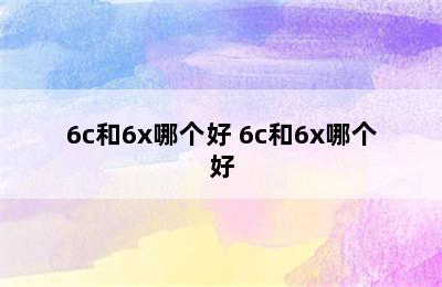 6c和6x哪个好 6c和6x哪个好